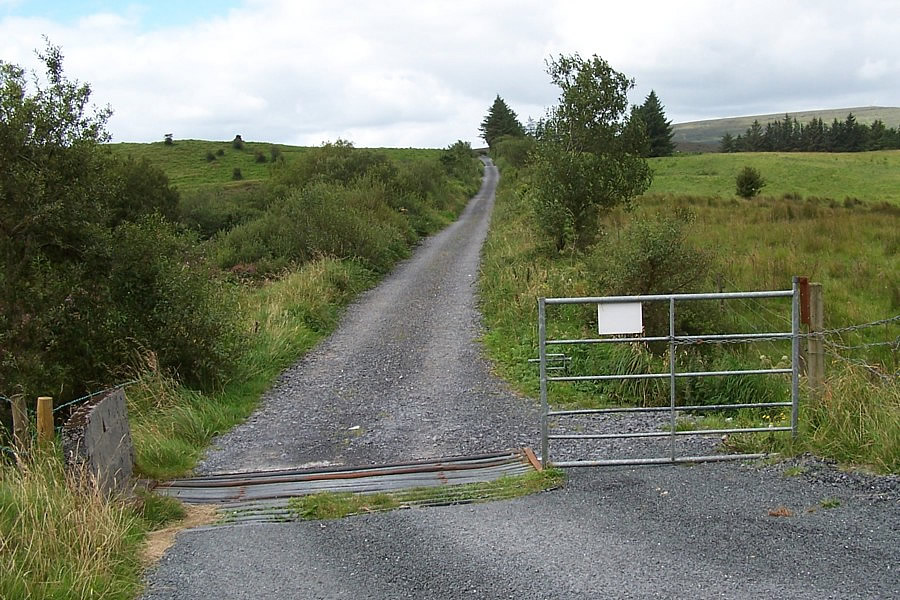 The cattle grid on the bog road