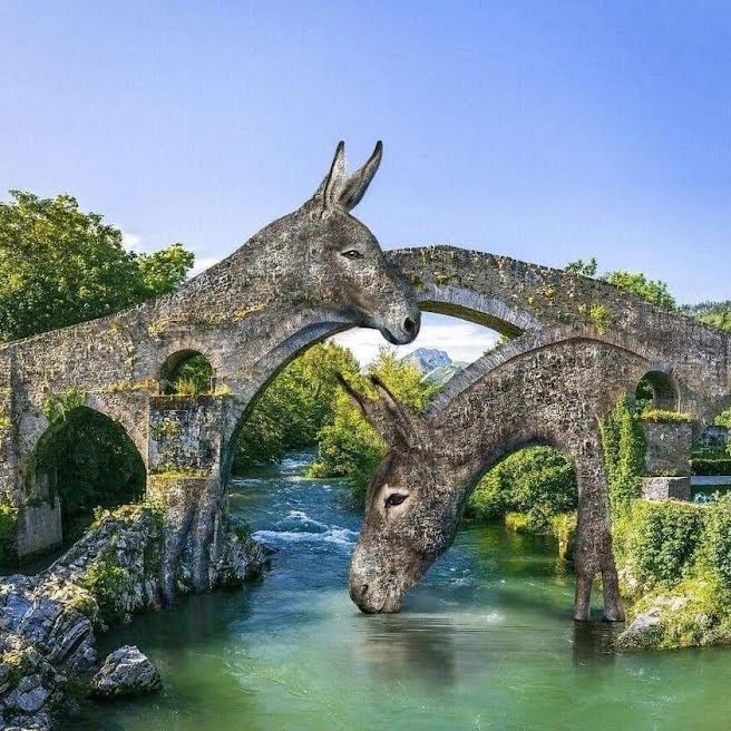 donkey bridge