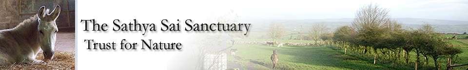 Sathya Sai Sanctuary Trust for Nature Sathya Sai Sanctuary Header
