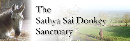 Sathya Sai Sanctuary Trust for Nature Sathya Sai Sanctuary Header