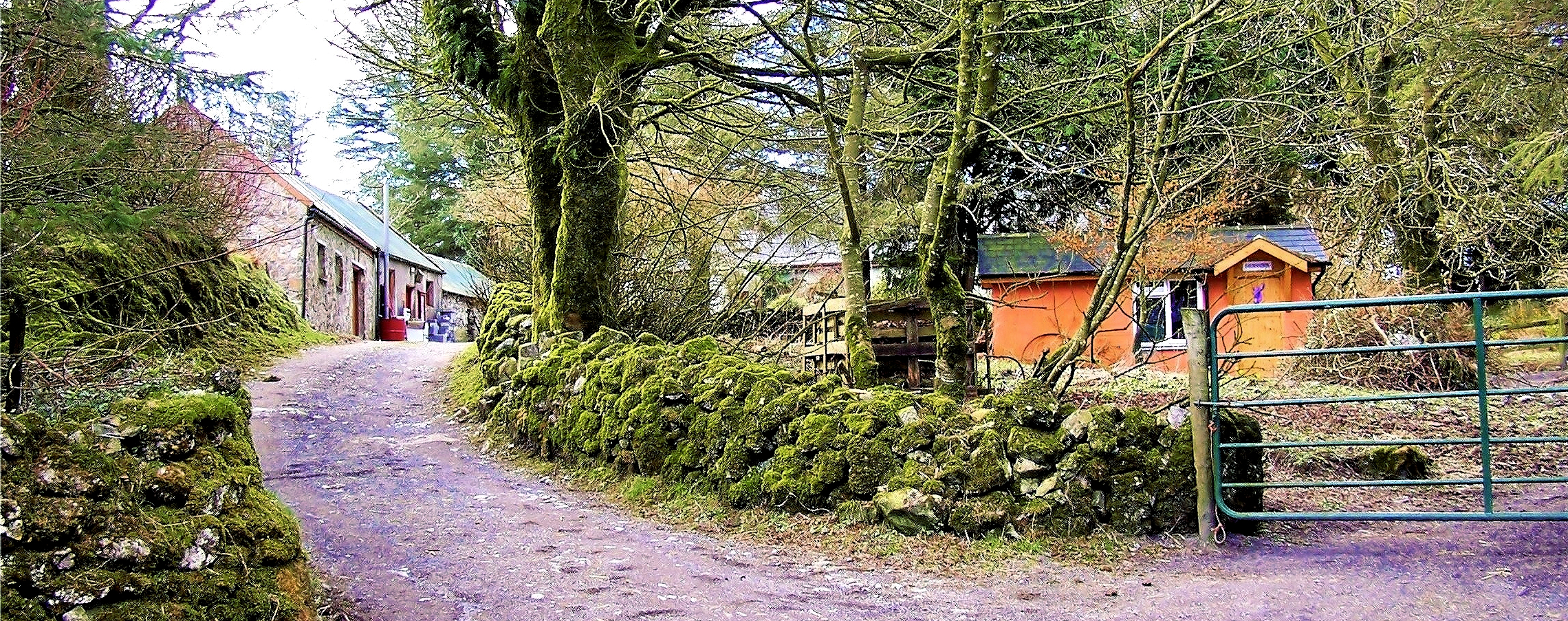 View upwards from the lower yard