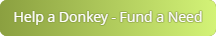 Help a Donkey, Fund a Need