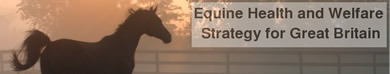 Equine Health and Welfare Strategy UK