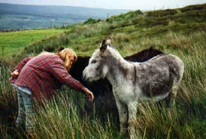 Sue on the bog with donkeys
